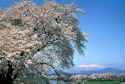 フォトギャラリーイメージ｜グランドメルキュール那須高原リゾート＆スパ