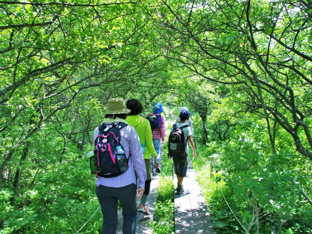 板室溫泉自然之旅|那須高原美爵溫泉度假酒店