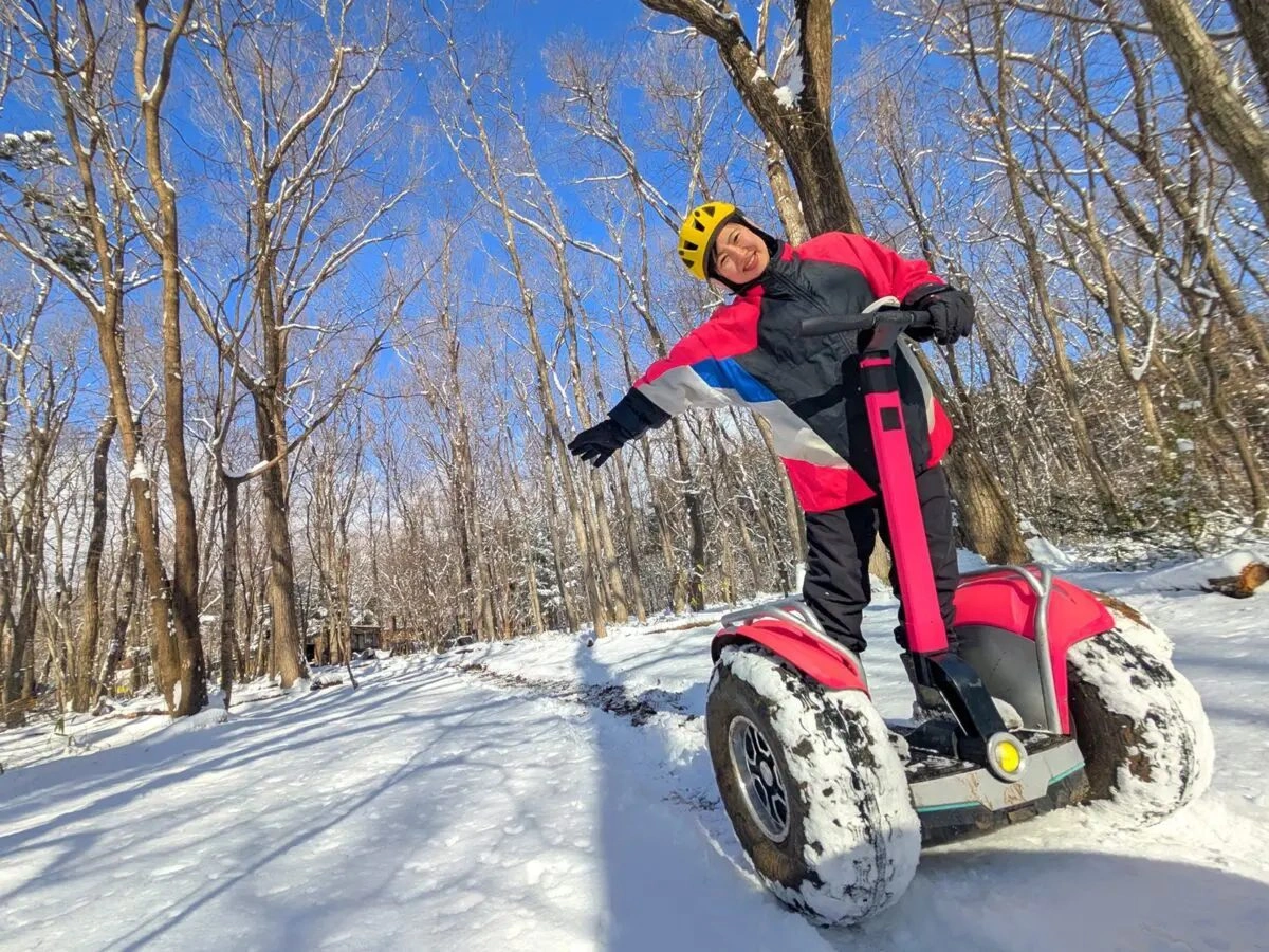 雪日的陀螺萊德形象