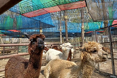 フォトギャラリーイメージ｜グランドメルキュール那須高原リゾート＆スパ